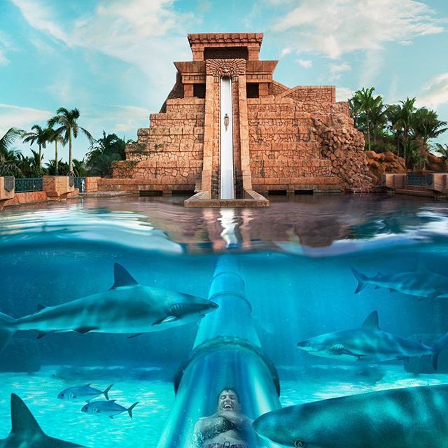 Water Parks & Aquariums